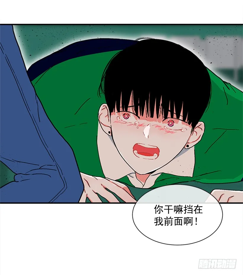 138.保护您到最后 第36页