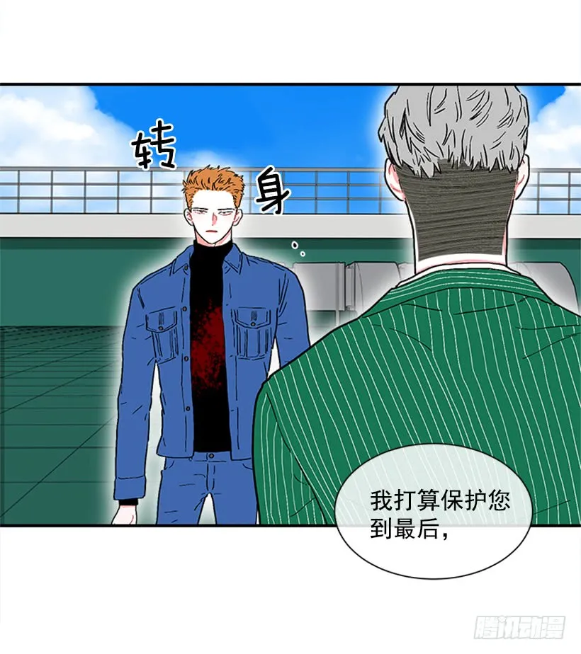 138.保护您到最后 第41页