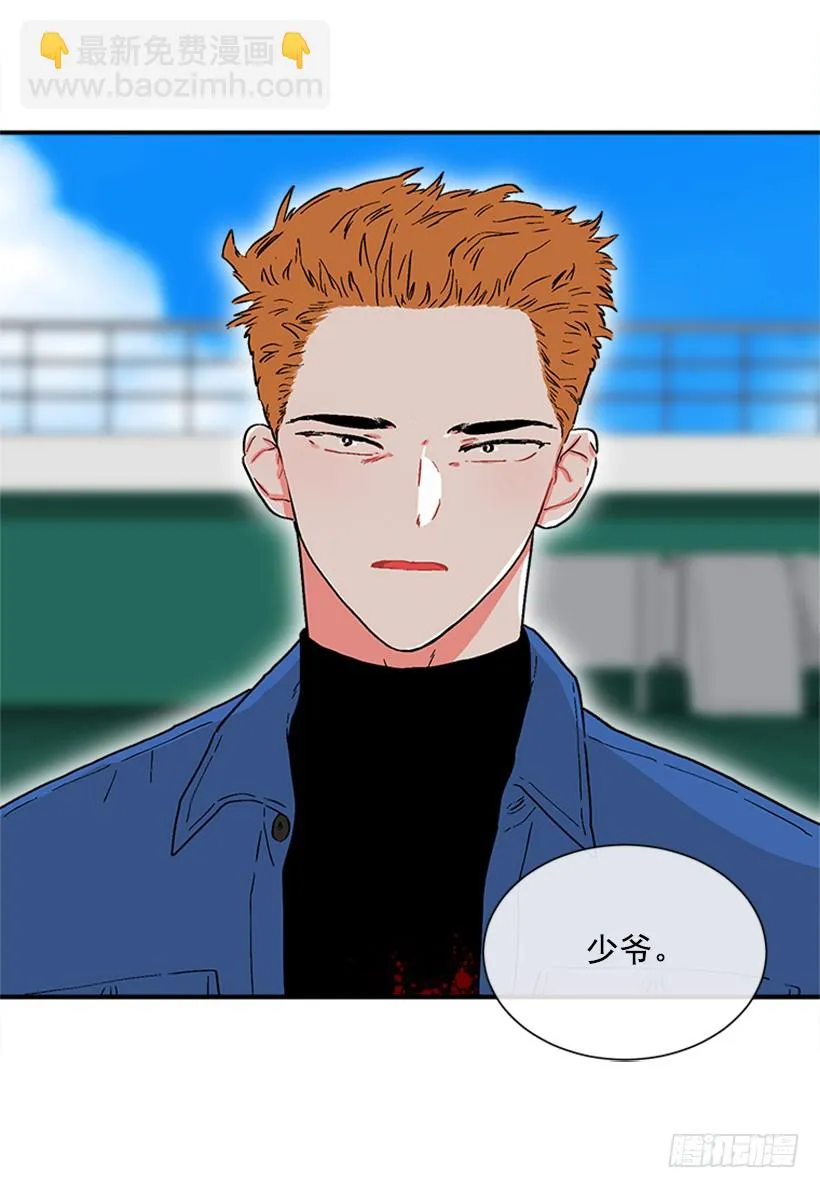 138.保护您到最后 第42页
