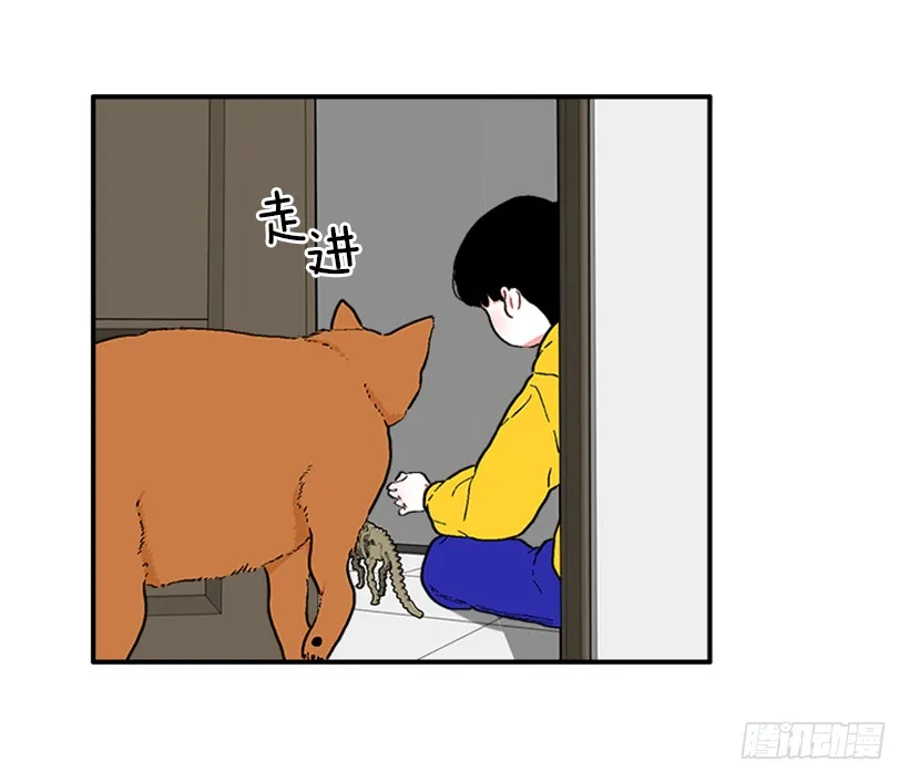 137.大喵 第6页
