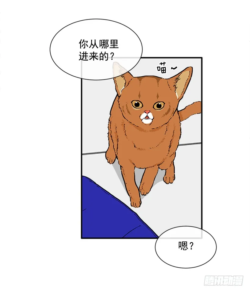 137.大喵 第10页