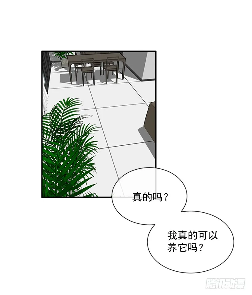 137.大喵 第11页