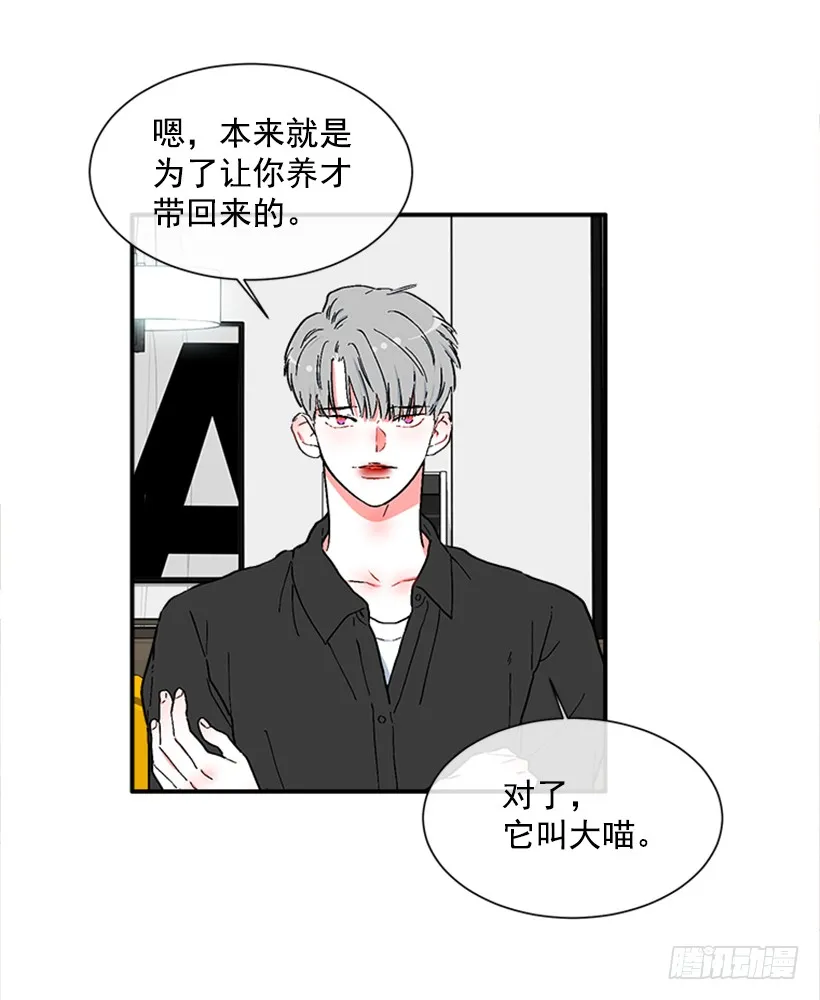 137.大喵 第12页