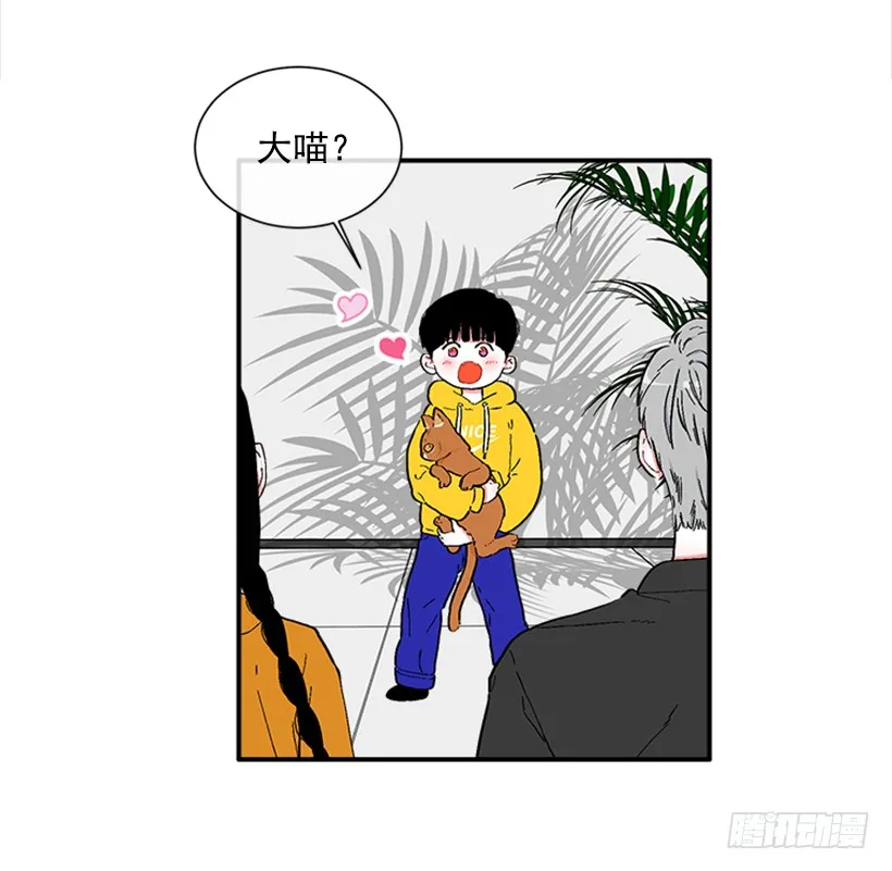 137.大喵 第13页