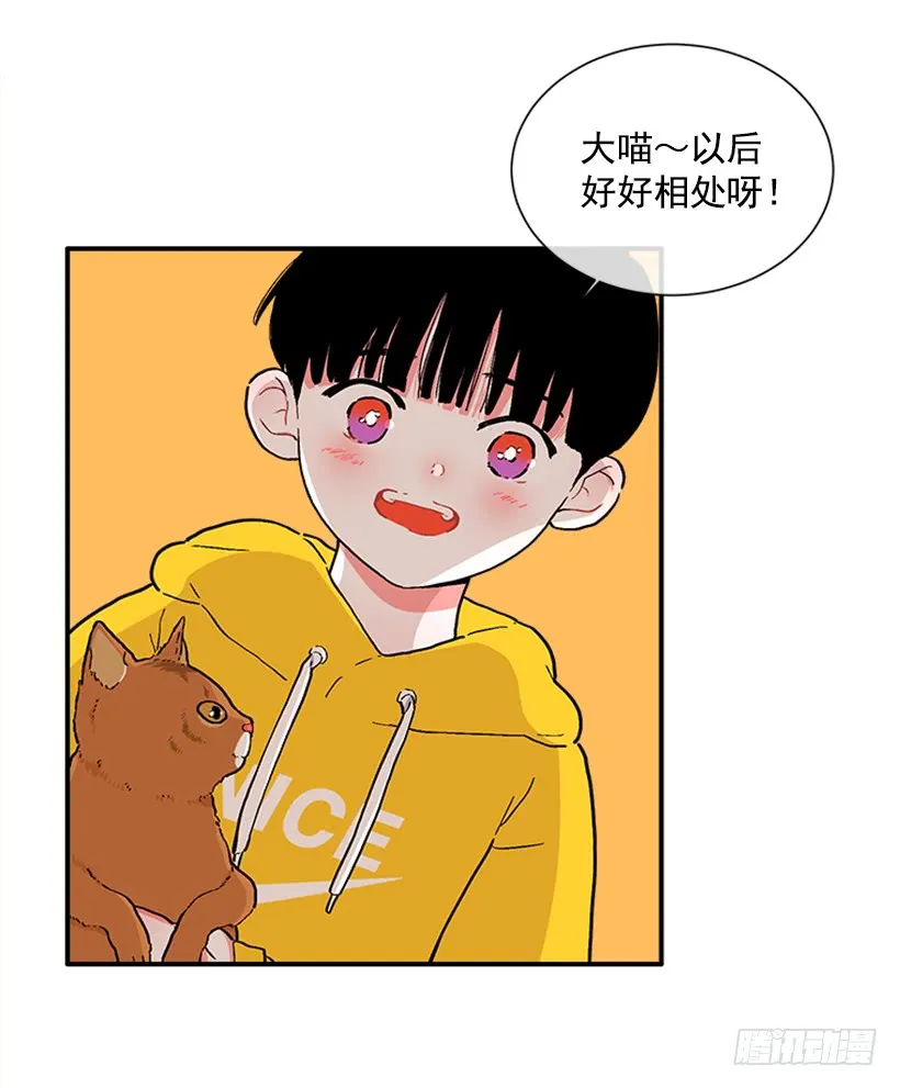 137.大喵 第14页
