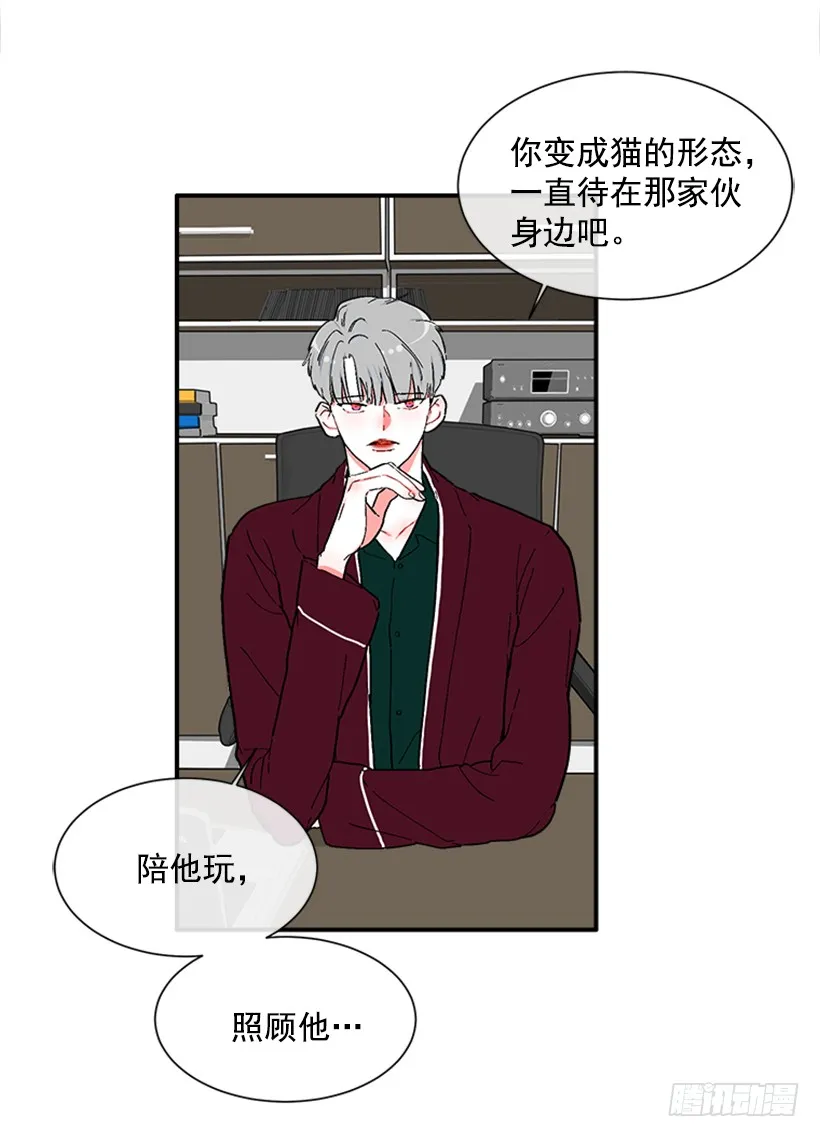 137.大喵 第22页
