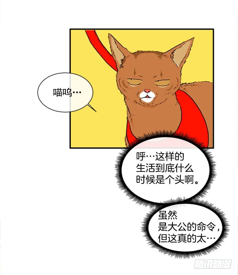 137.大喵 第29页