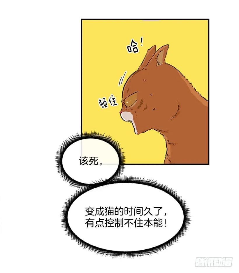 137.大喵 第37页