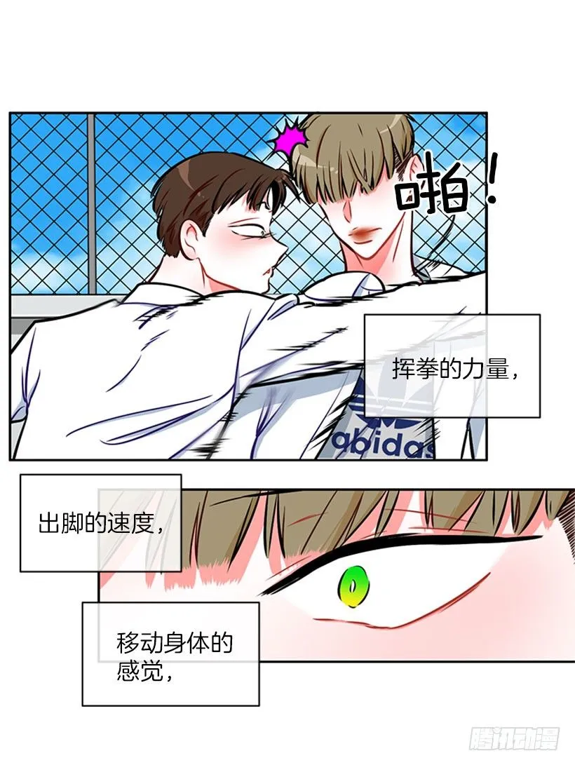 靠实力说话 第7页