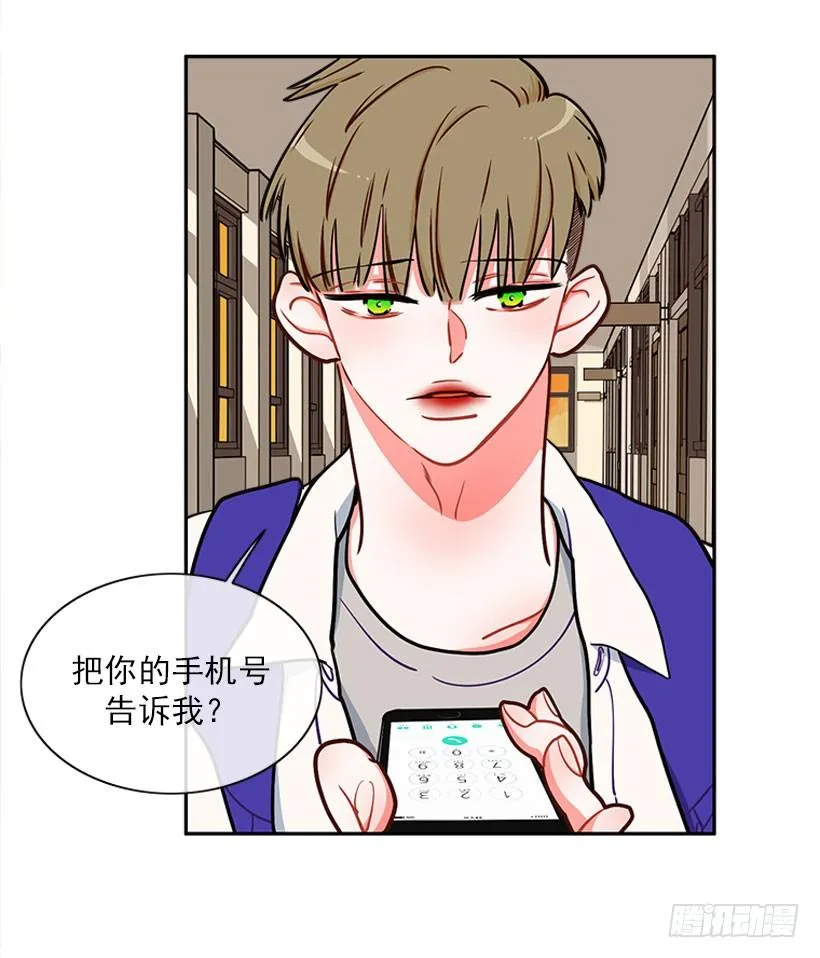 心动的感觉 第42页