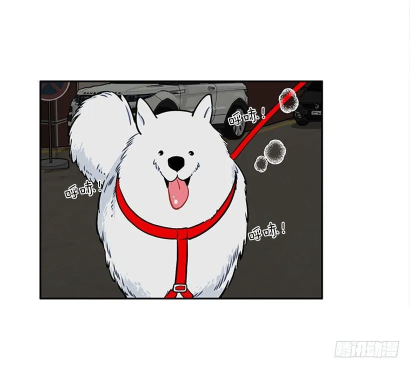 信息 第17页