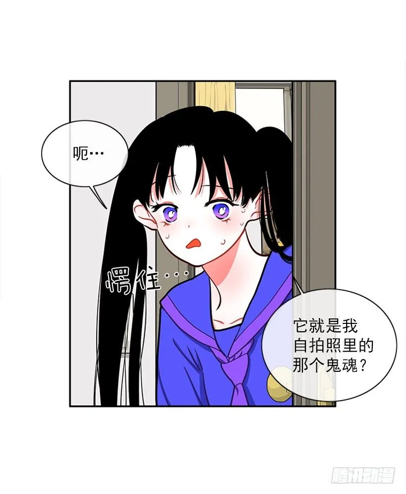 不仅能捉妖还能捉鬼 第31页
