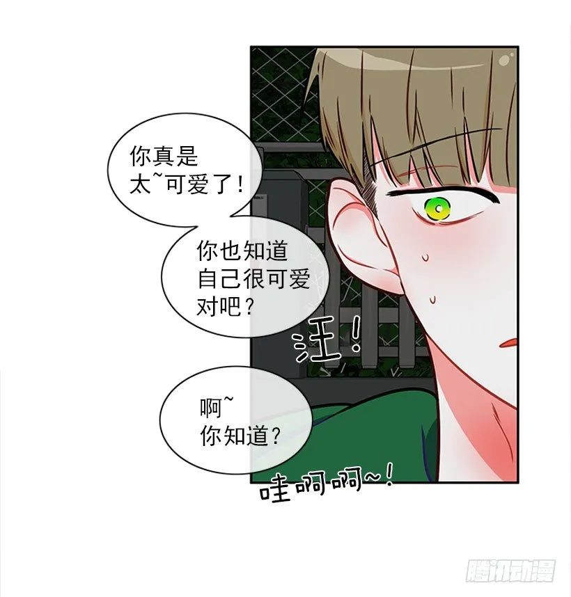 和我打一架吧！ 第17页