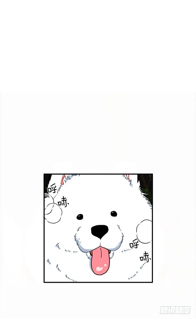 砰砰啪啪 第17页