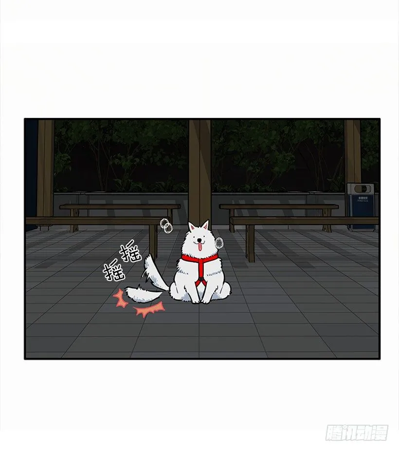 砰砰啪啪 第18页