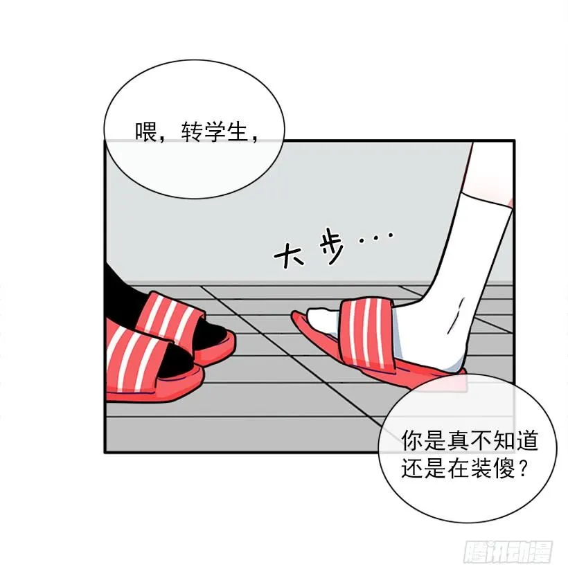 上天台 第16页