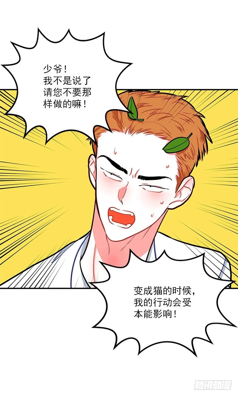 真正的原因 第41页