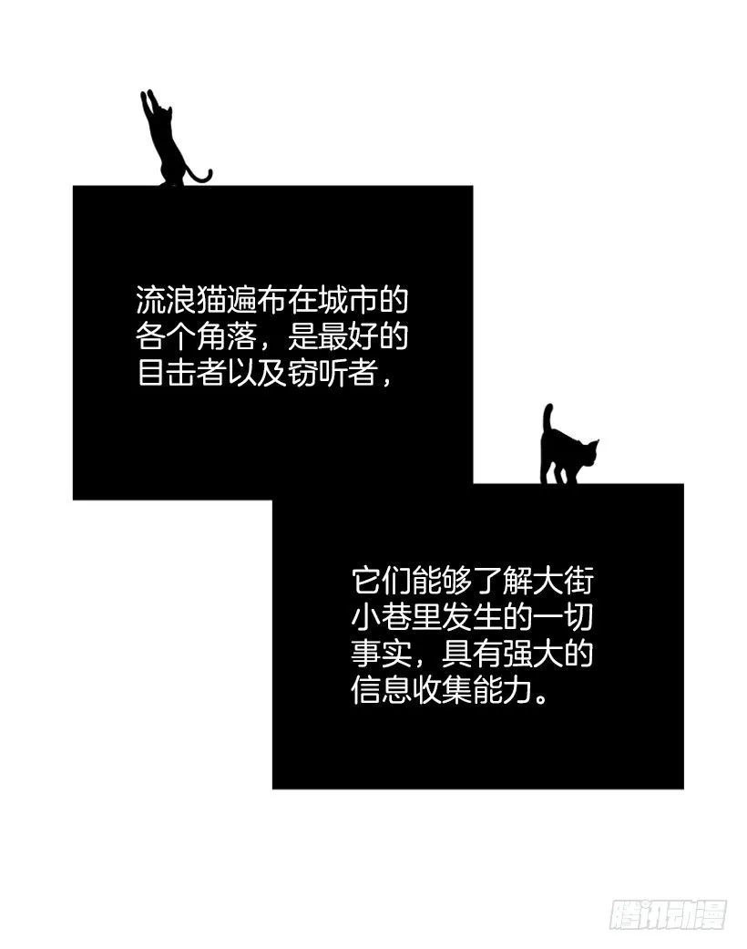 真正的原因 第44页