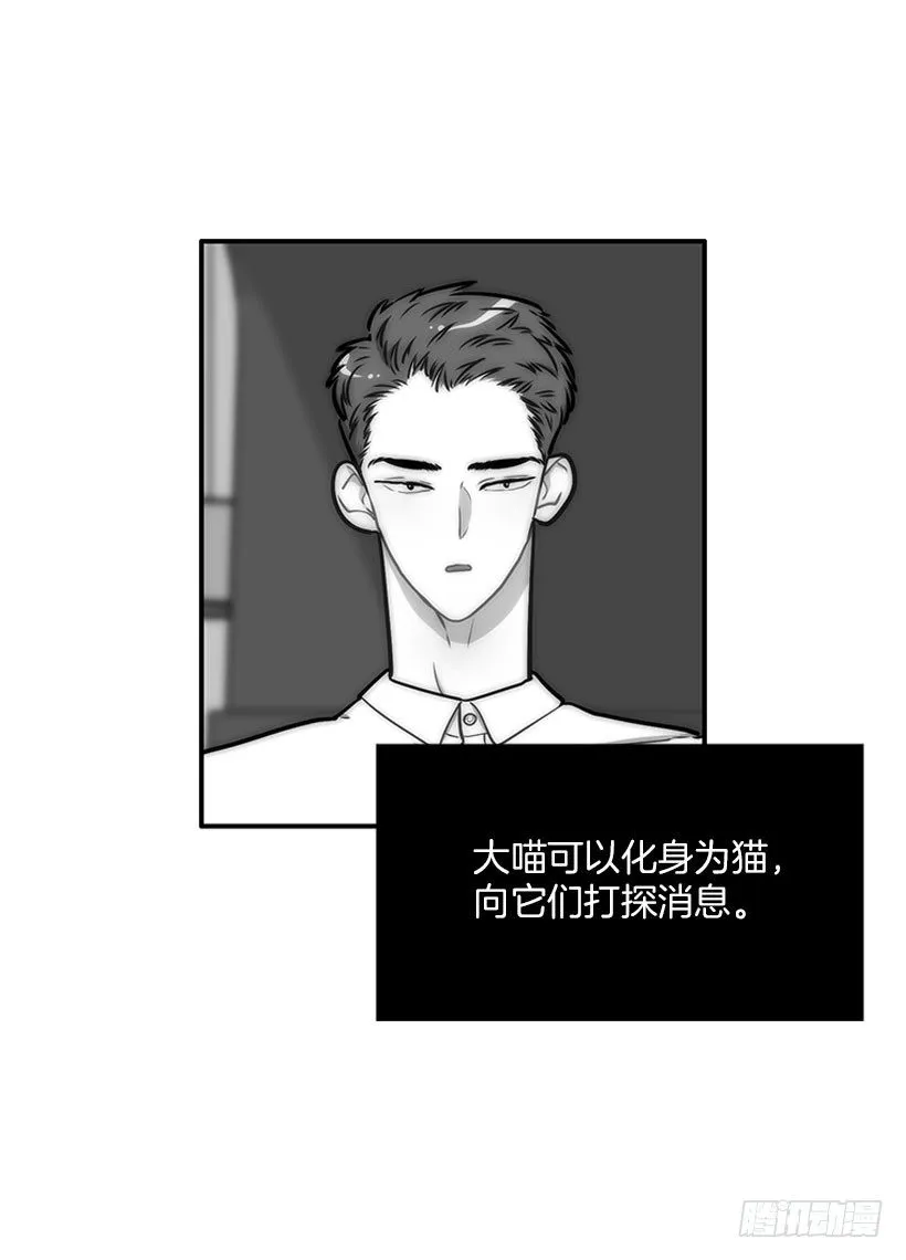真正的原因 第45页