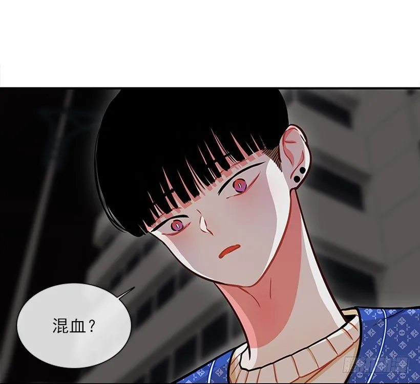 真正的原因 第52页