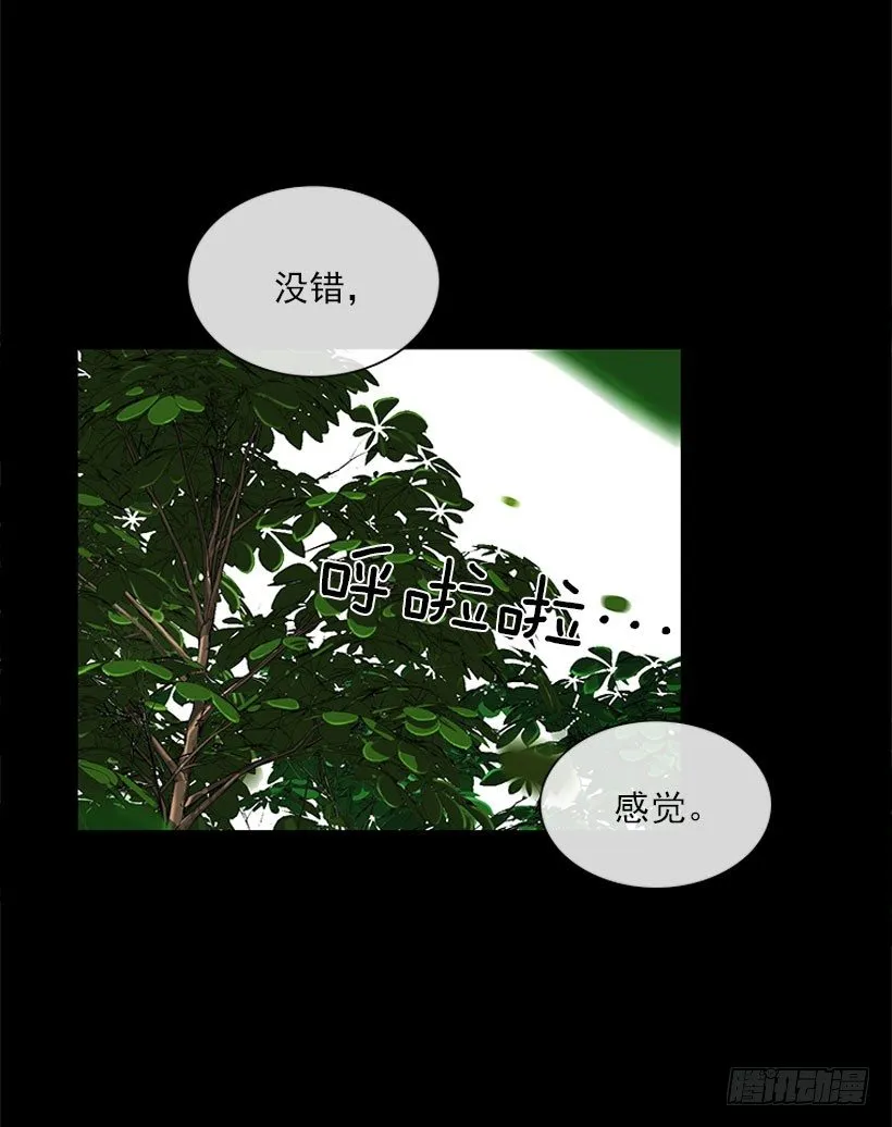 感觉 第11页