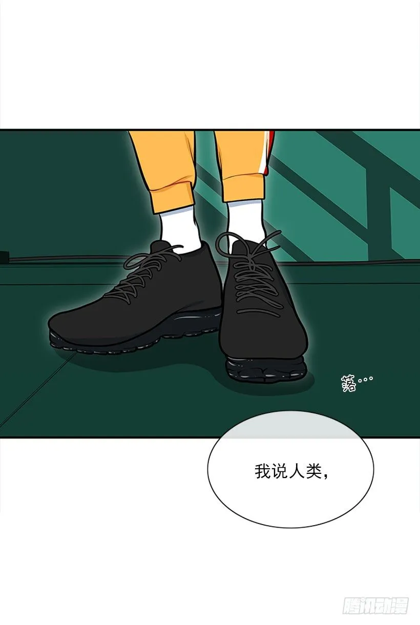 这下全完了 第11页