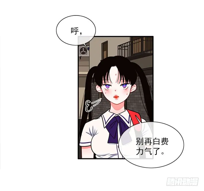 我的猫崽 第5页