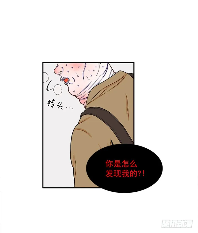 我的猫崽 第6页