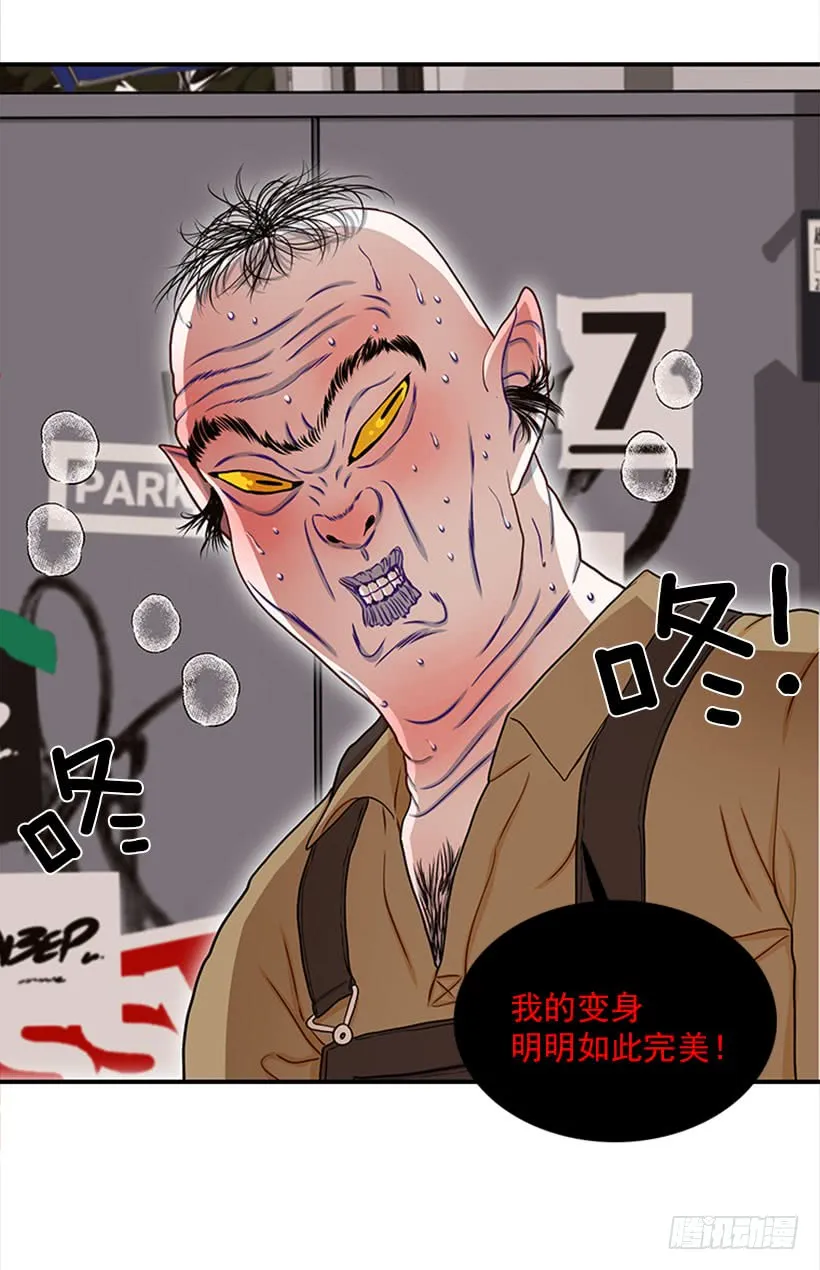 我的猫崽 第7页