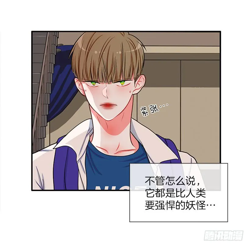 我的猫崽 第9页
