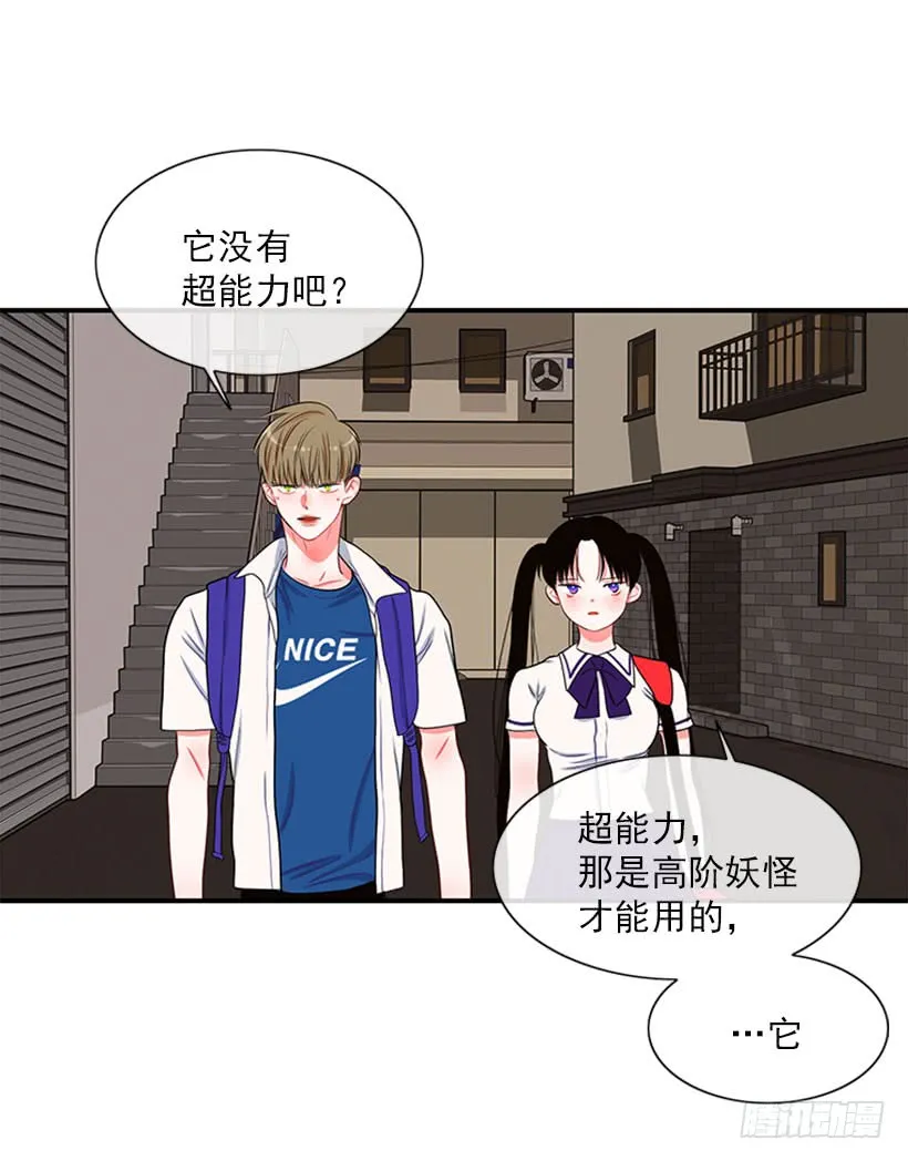 我的猫崽 第10页