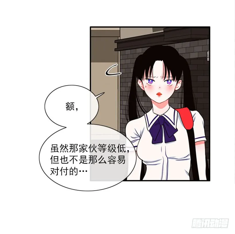 我的猫崽 第13页