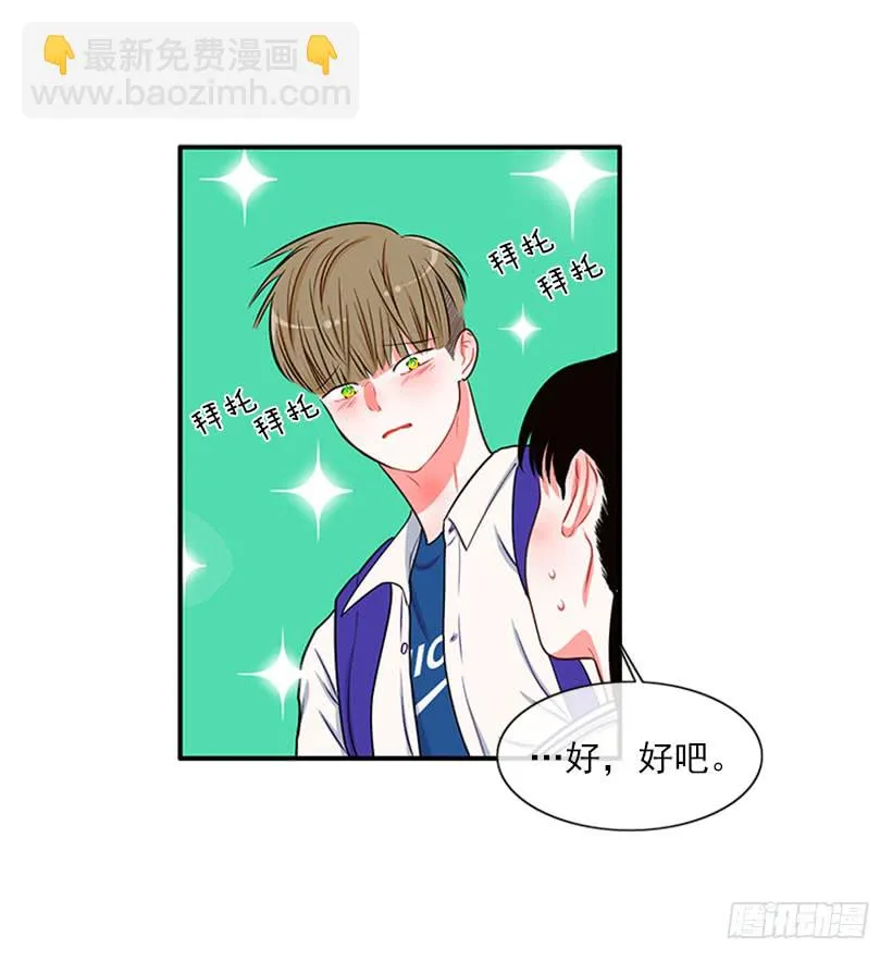我的猫崽 第14页