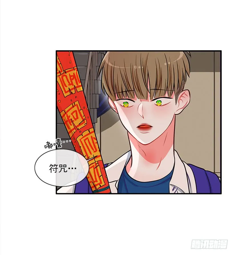 我的猫崽 第19页