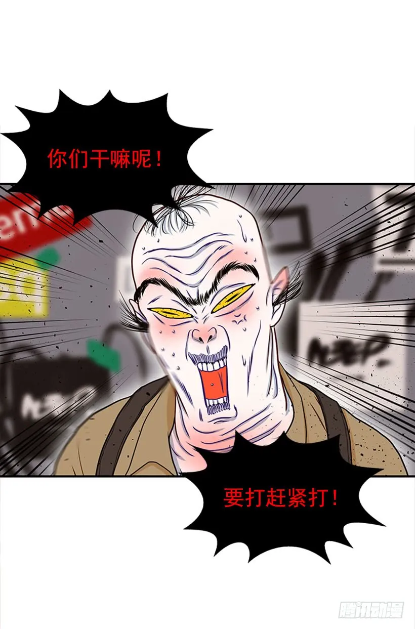 我的猫崽 第21页