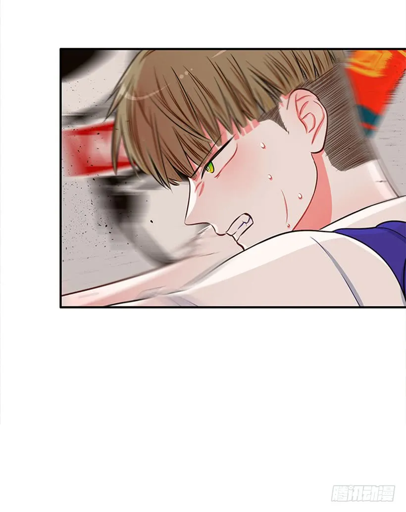 我的猫崽 第29页