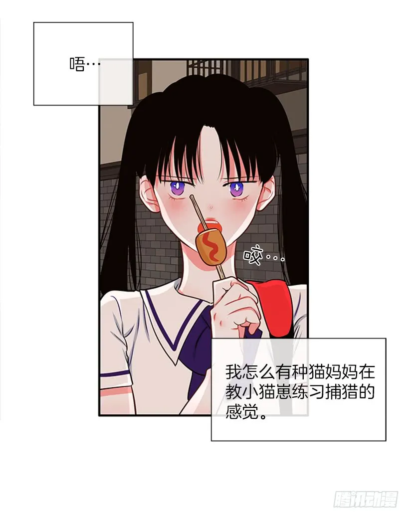 我的猫崽 第31页