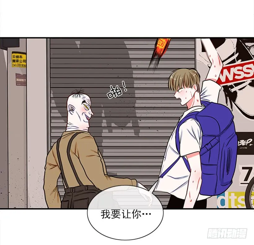 我的猫崽 第35页