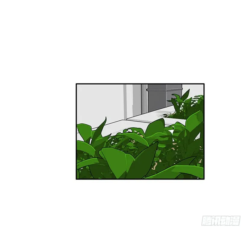 我的女王 第11页