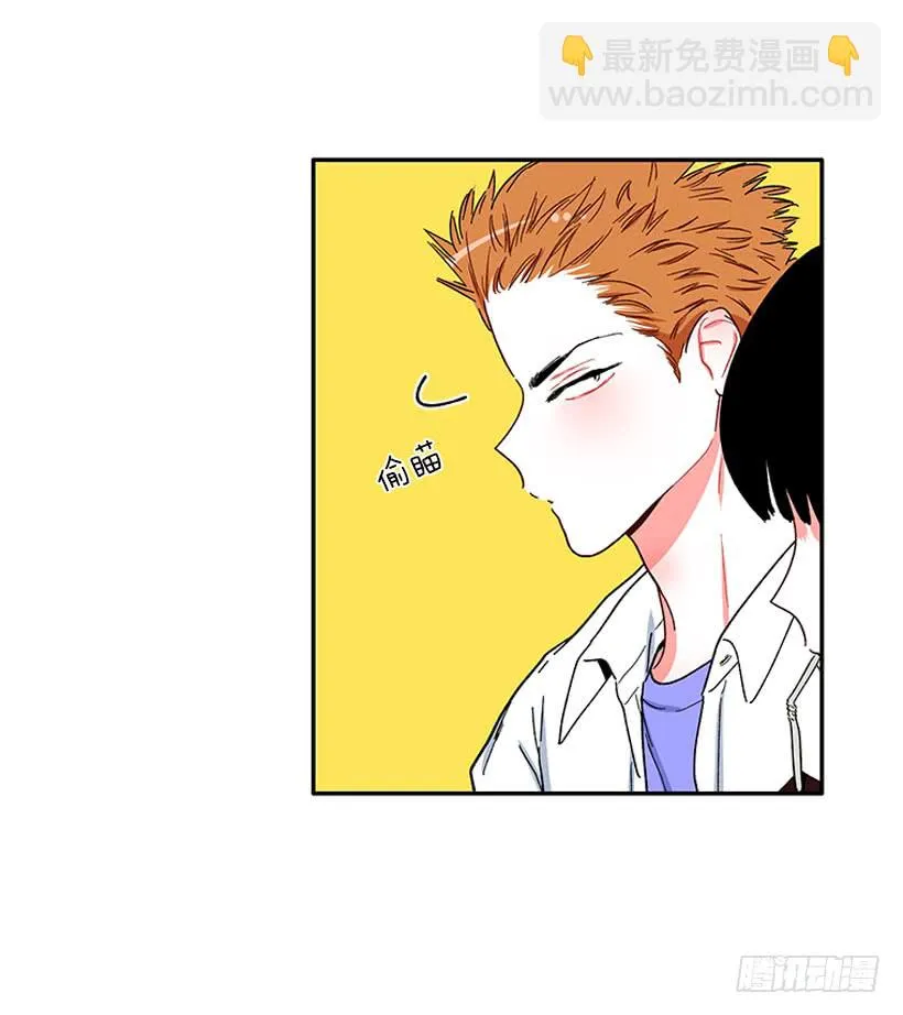 我的女王 第13页