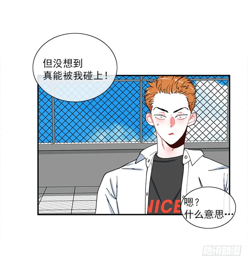 支持你们！ 第4页