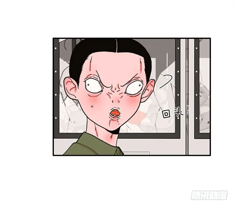 抓住它！ 第19页