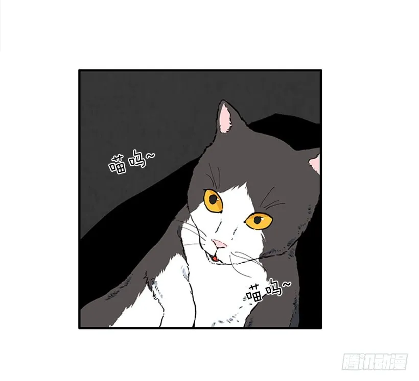 男朋友 第33页