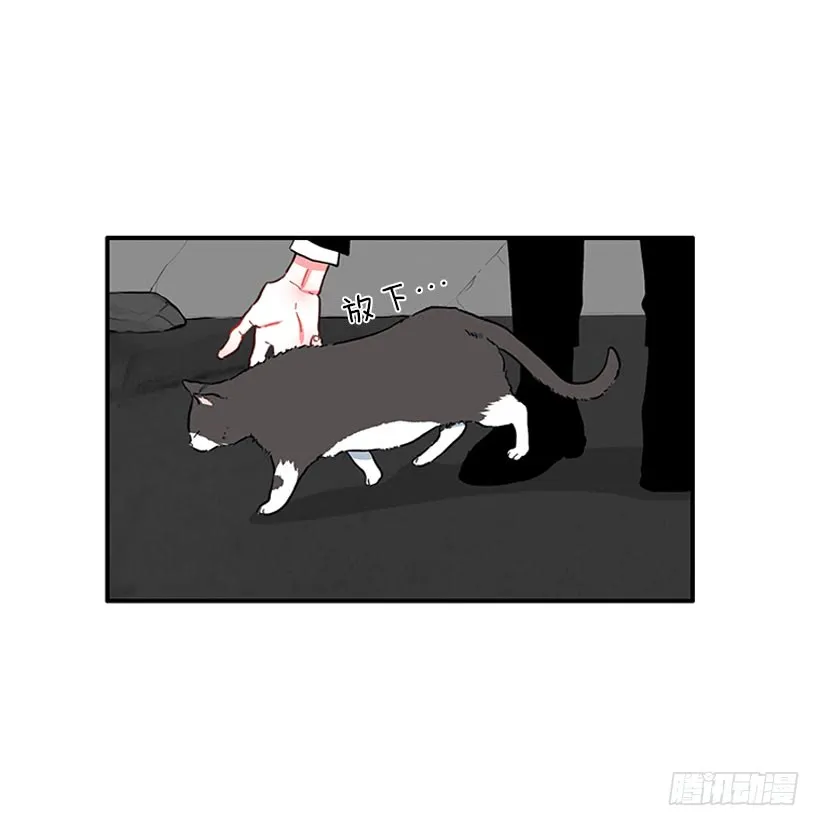 男朋友 第35页