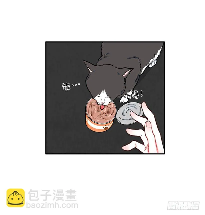 男朋友 第36页