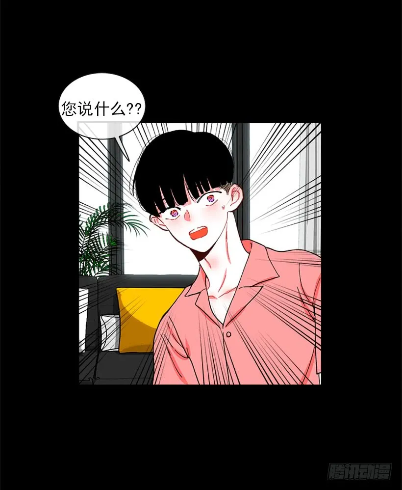 王牌和底牌 第16页