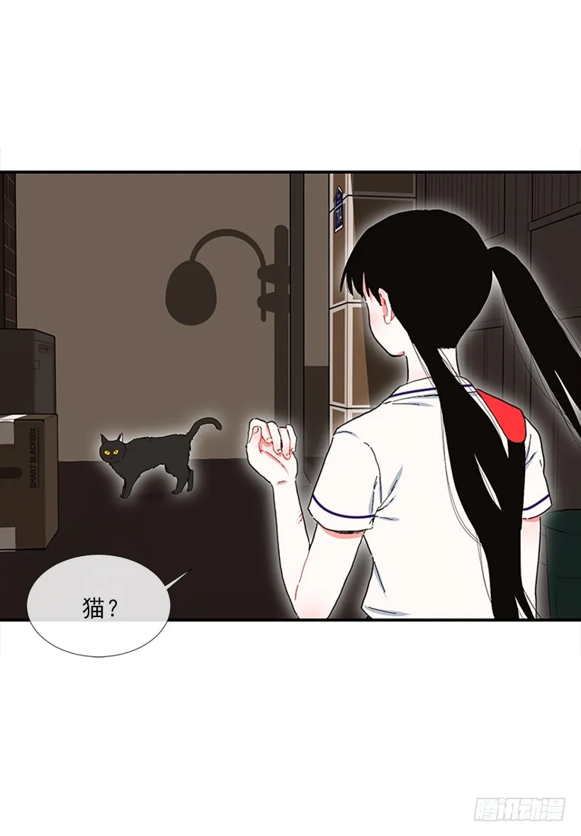 103.撸猫 第26页