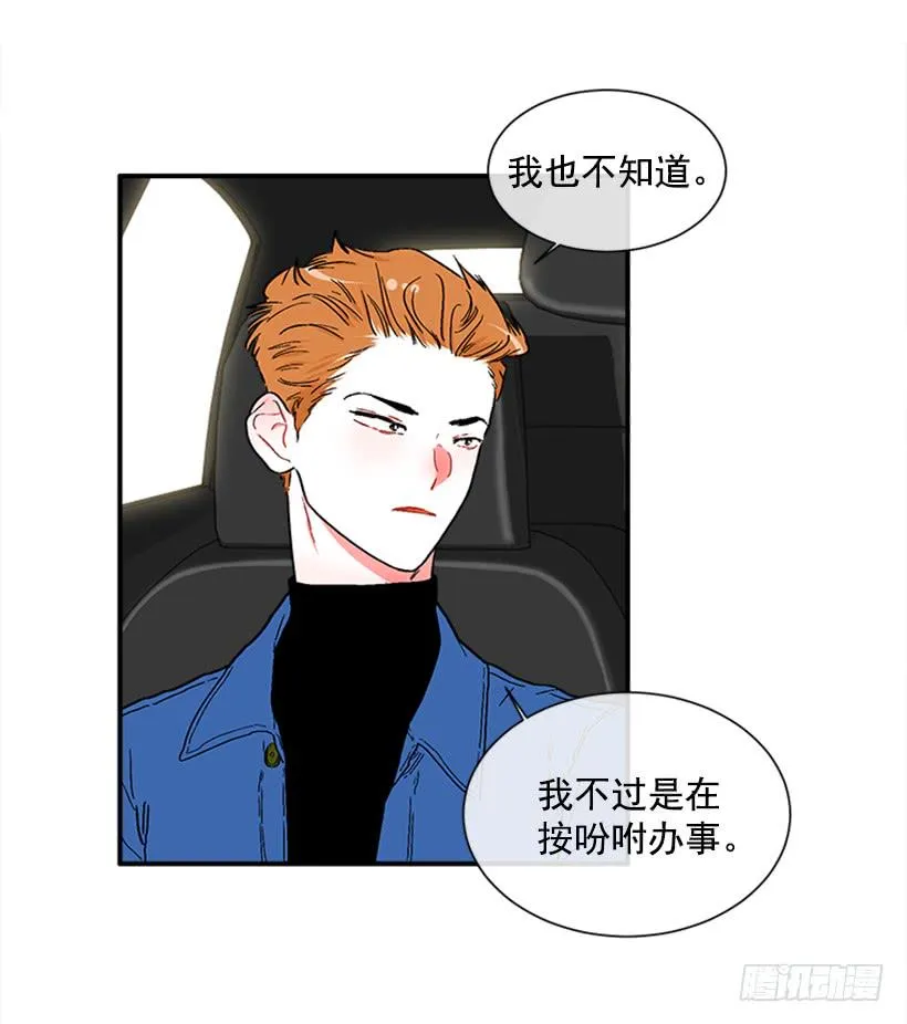 130.家猫和流浪猫 第4页