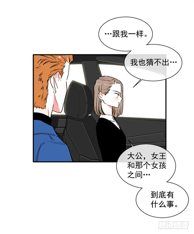 130.家猫和流浪猫 第5页