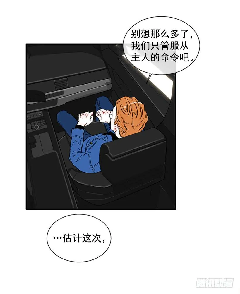 130.家猫和流浪猫 第6页